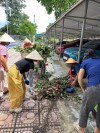 🌿 TRƯỜNG THCS THANH HƯNG: CHUNG TAY LÀM ĐẸP MÁI TRƯỜNG, SẴN SÀNG ĐÓN NĂM HỌC MỚI 2026–2027 🌸🏫